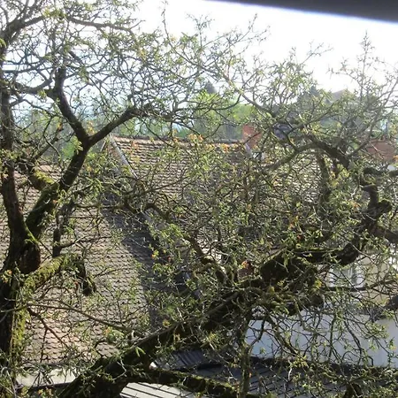 Entire In The Center With Free Parking *