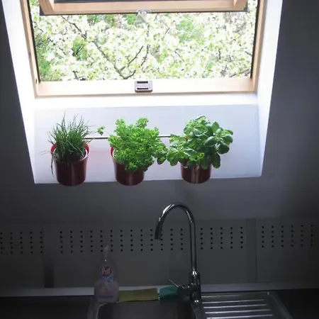 Entire In The Center With Free Parking Λιουμπλιάνα