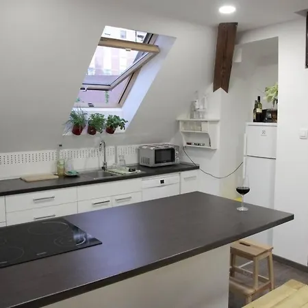 Entire In The Center With Free Parking Λιουμπλιάνα