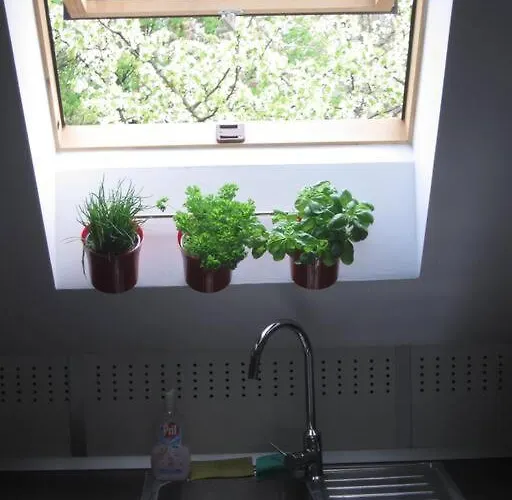 Entire In The Center With Free Parking Liubliana