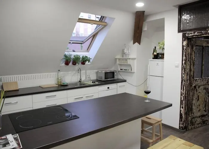 Entire In The Center With Free Parking ليوبليانا